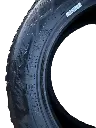 IMG_1545.webp