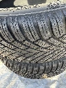 IMG_2053.webp