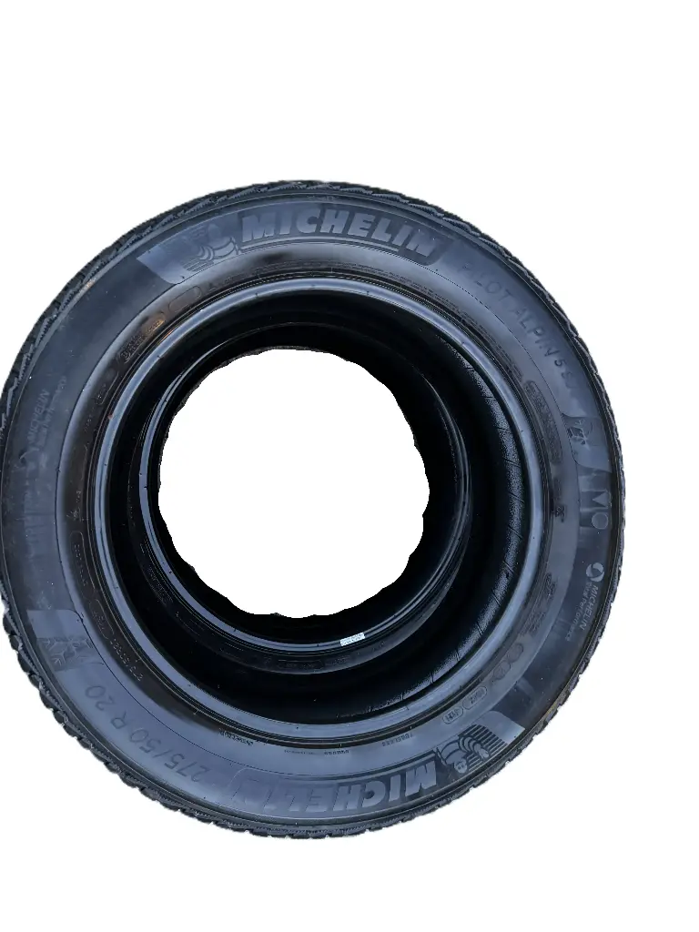 Michelin PilotAlpin5 SUV |  275/50R20 113V | Paire